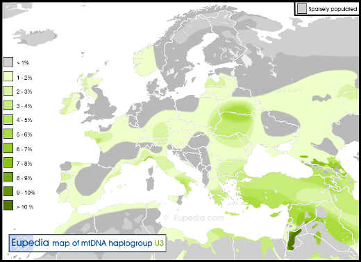 mtDNA-U3-map-65